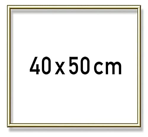Schipper 605110710 Schilderen op nummer, aluminium lijst 40 x 50 cm, goudglanzend zonder glas voor uw kunstwerk, eenvoudige zelfmontage