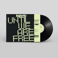 Sonic Rendezvous Fabric - Until We Are Free (LP)