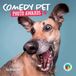 CAROUSEL CALENDARS Comedy Pet Kalender 2027