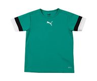 Puma teamRISE Jersey Shirt Junior - Groen - Maat 164