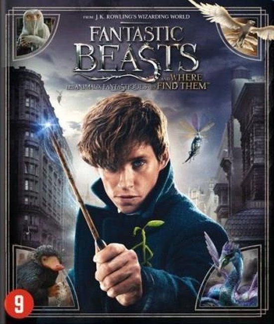 Warner Home Video Fantastic Beasts and Where to Find Them - Blu-ray