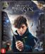 Warner Home Video Fantastic Beasts and Where to Find Them - Blu-ray