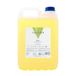 Valquer Professional Apple Shampoo voor kappers, professionele formule, fles van 5000 ml