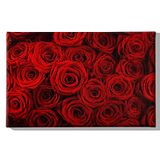 Homemania Muurfoto, bloemen, natuur, voor woonkamer, slaapkamer, meerkleurig, 45 x 3 x 70 cm, HM20KNV45 x 70 – 211, polyester, hout