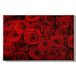 Homemania Muurfoto, bloemen, natuur, voor woonkamer, slaapkamer, meerkleurig, 45 x 3 x 70 cm, HM20KNV45 x 70 – 211, polyester, hout
