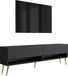 3xE living meuble TV, 170 cm, noir mat, avec pieds inclinés couleur or