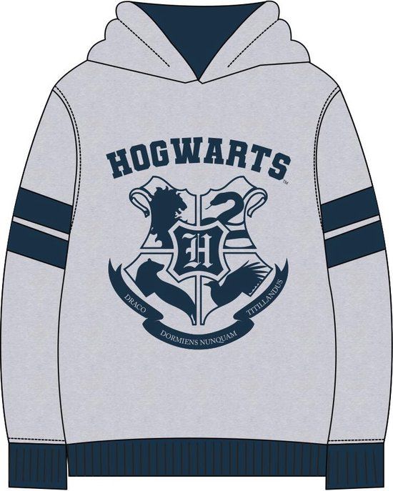 Harry Potter Kinderhoodie Grijs Maat 140