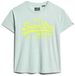 Superdry Vintage Neon T-shirt met logo Dames T-shirts