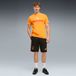 PUMA Sportbroek 'Galatasaray S.K. KING' bruin / zwart