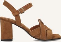 STEFANO LAURAN 25149 Sandalen Dames Camel Maat 38