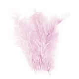 Rayher 8516816 Pluisveer, 10-15 cm, SB-Btl. 15 stuks, rosé