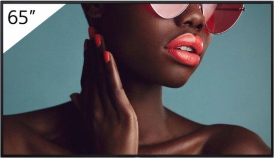 Sony FW-65BZ40L / Digital Signage / 65 inch / 2023