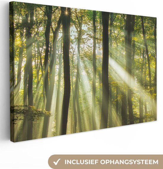 OneMillionCanvasses Canvas schilderij - Zon - Bomen - Bos - Natuur - Groen - 150x100 cm
