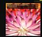 Transfigurations Les Esprits Animaux - Transfigurations (CD)