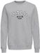 Ball Sweatshirt L. Taylor Lichtgrijs XS