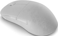 Endgame Gear XM2w Souris de jeu sans fil White Frost