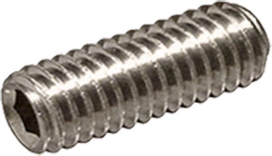 PGB-FASTENERS Stelschroef DIN 916 M5x10 A2 | 200 st