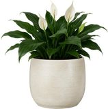 Mica Decorations Plantenpot - keramiek - wit glans / ribbels - D21 x H22 cm