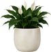 Mica Decorations Plantenpot - keramiek - wit glans / ribbels - D21 x H22 cm