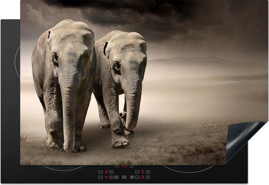 KitchenYeah® Inductie beschermer 77x51 cm - Olifant - Inductiebeschermer