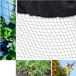 Kivora B.V. Grand filet anti-oiseaux 10x10m Noir Résistant aux déchirures filet de jardin pour arbres fruitiers et légumes