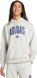 Adidas Sportswear Collegiate Hoodie Heren Beige