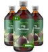 Organifer Engrais liquide pour figuiers - 3x1 L