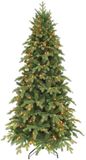 Edelman Triumph Tree Sherwood Slim Deluxe LED Kunstkerstboom Groen 260 cm