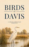 Birds Tala Guides Birds of Davis: A Collection of Birds Found Around Davis