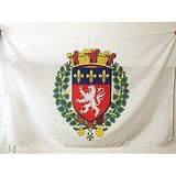 AZ FLAG Vlag Stad Lyon 90x60 cm Polyester 100D Mouw