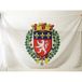 AZ FLAG Vlag Stad Lyon 90x60 cm Polyester 100D Mouw