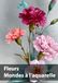 Fleurs, Mondes à l’aquarelle: Une célébration de la beauté florale à l’aquarelle