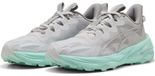 Puma Chaussure de randonnée pour femmes Fast-trac Nitro 3 Wns, couleur gris, taille UK 8.5