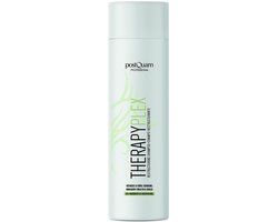 POSTQUAM HAIR CARE PLEX POSTQUAM THERAPY SHAMPOO 2
