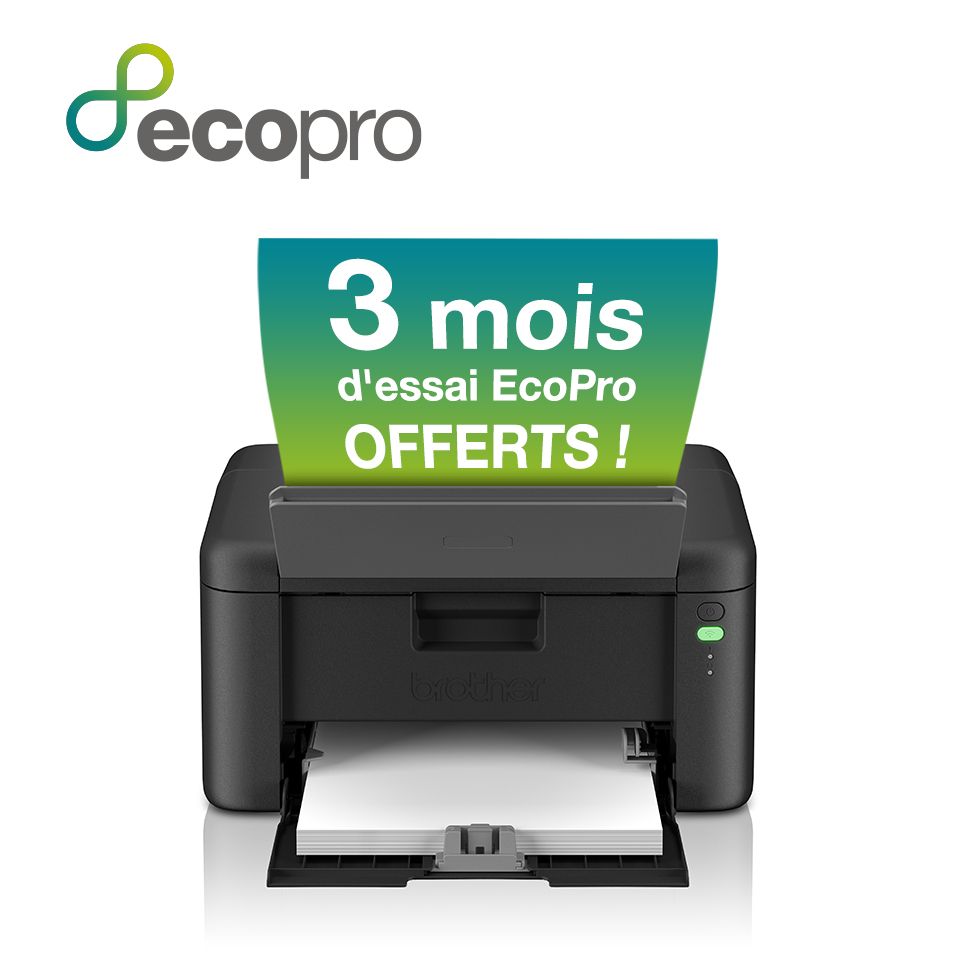Brother HL-L1240W - Mono Laser Printer - A4 - Wi-Fi