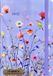 Peter Pauper Lavender Wildflowers 16 maanden Agenda 2027