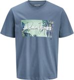 JACK&JONES JJINDIANA TEE SS CREW NECK LN Heren T-shirt L Katoen Blue Mirage
