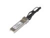 Netgear AXC763 - Netwerkkabel - 3 m - SFP+ naar SFP+ - Male/Male