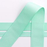 Italian Options Grosgrain lint, 10mm x 10 Meter Roll, Mint Groen