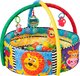 Playgro Activiteiten bak - Ballenbak - Babygym - 30 ballen