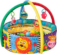 Playgro Activiteiten bak - Ballenbak - Babygym - 30 ballen