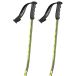 Scott Team Issue Gs bâtons