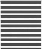 vidaXL Zebra Rolgordijn 125x100 cm Zwart