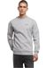 Forvert Sweatshirt 'Crewn. Carlsbad' grijs