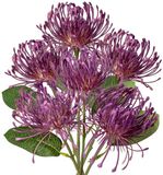 Ibenzoa® Set de 6 Chrysanthèmes artificiels avec tige flexible