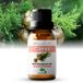 Zenful Cipres olie - 100% Biologisch & puur - Cypres - Cyprus - Natuurlijk - Essential oil - 10ml