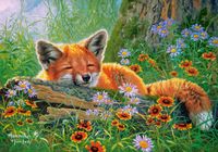Castorland Foxy Dreams Legpuzzel - 500 Stukjes