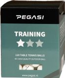 Pegasi Pingpongballen - 1 ster - 120 stuks - Wit