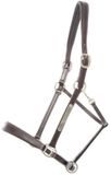 Kavalkade Leren halster voor paarden Bennet Pony bruin/zilver