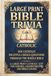 Large Print Bible Trivia: Catholic